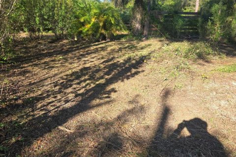 Land in Lehigh Acres, Florida № 2166056 - photo 3