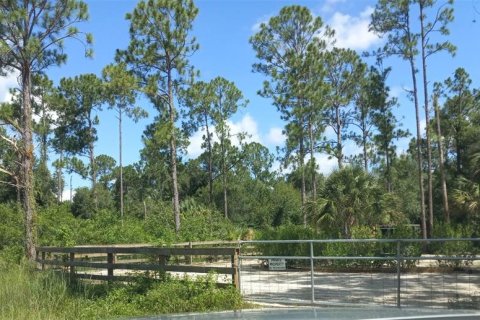Land in Lehigh Acres, Florida № 2166056 - photo 9
