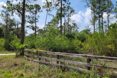 Land in Lehigh Acres, Florida № 2166056 - photo 8