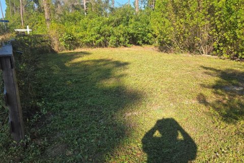 Land in Lehigh Acres, Florida № 2166056