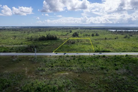 Commercial property in Homestead, Florida № 1766391 - photo 9