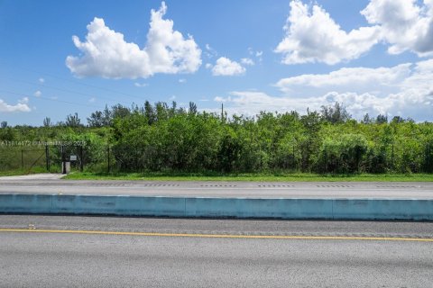 Commercial property in Homestead, Florida № 1766391 - photo 3