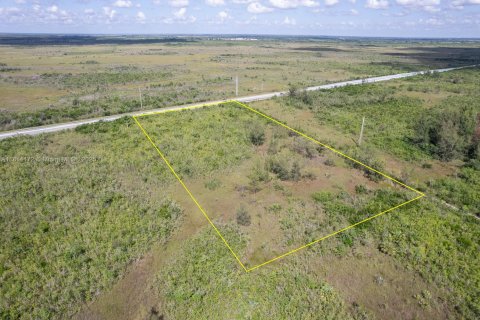 Commercial property in Homestead, Florida № 1766391 - photo 4