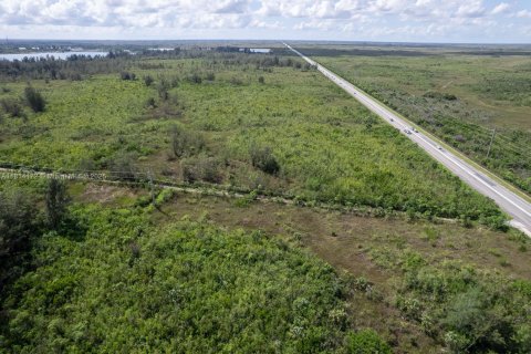 Commercial property in Homestead, Florida № 1766391 - photo 2