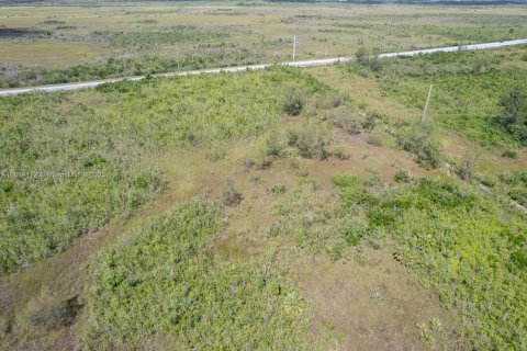 Commercial property in Homestead, Florida № 1766391 - photo 12