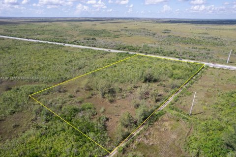 Commercial property in Homestead, Florida № 1766391 - photo 6