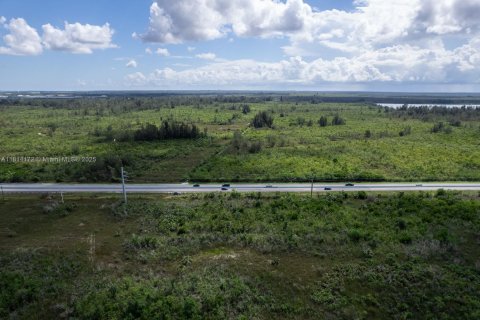 Commercial property in Homestead, Florida № 1766391 - photo 10