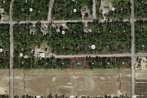 Land in Citrus Springs, Florida № 2161478 - photo 5