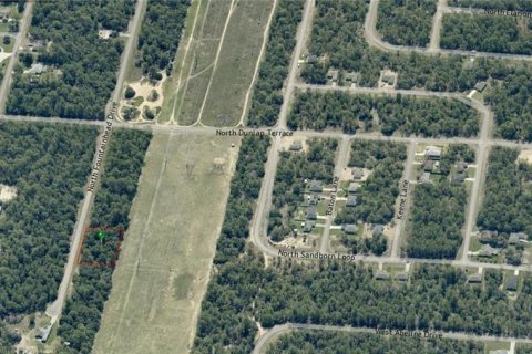 Land in Citrus Springs, Florida № 2161478 - photo 3