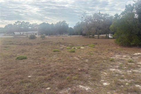 Land in Weeki Wachee, Florida № 2118490