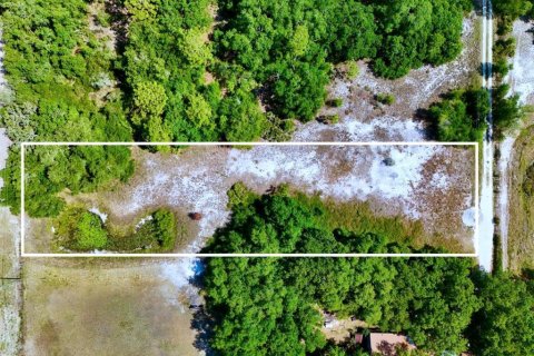Land in Lake Wales, Florida № 2221200