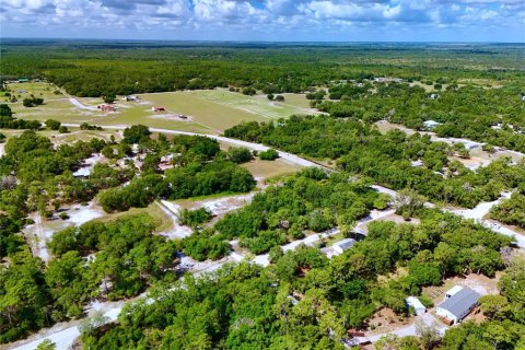 Terreno en venta en Lake Wales, Florida № 2221200 - foto 9