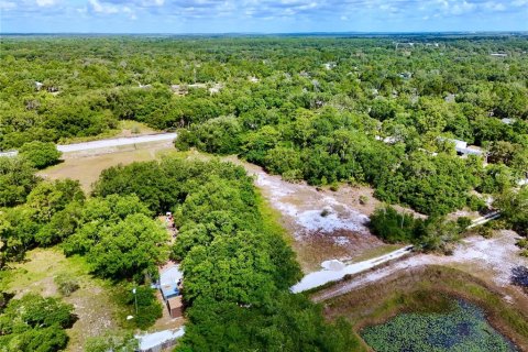 Terreno en venta en Lake Wales, Florida № 2221200 - foto 24