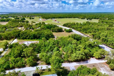 Terreno en venta en Lake Wales, Florida № 2221200 - foto 12