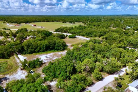 Terreno en venta en Lake Wales, Florida № 2221200 - foto 11