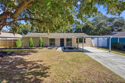 House in Brandon, Florida 3 bedrooms № 2006766