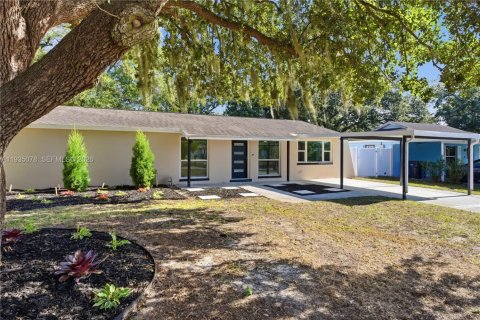 House in Brandon, Florida 3 bedrooms № 2006766 - photo 2