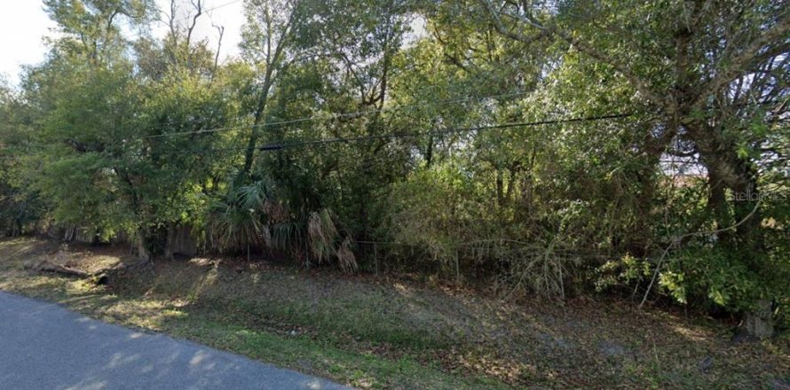 Land in Orlando, Florida № 1882777