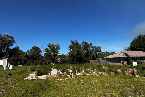 Land in Orange City, Florida № 2214675 - photo 5