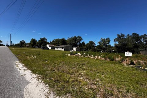 Land in Orange City, Florida № 2214675 - photo 6
