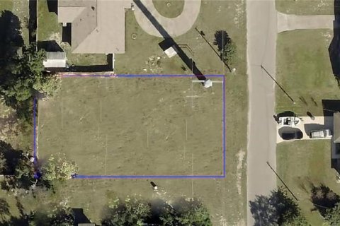 Land in Orange City, Florida № 2214675 - photo 3
