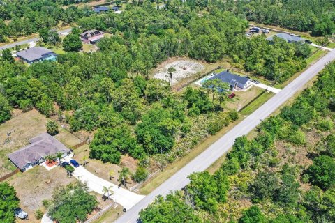 Terreno en venta en Orlando, Florida № 1641008 - foto 7