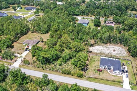 Terreno en venta en Orlando, Florida № 1641008 - foto 10
