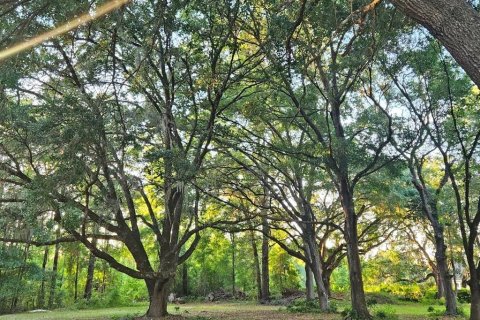 Land in Melrose, Florida № 1747647 - photo 12