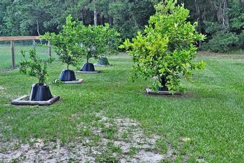 Land in Melrose, Florida № 1747647 - photo 10