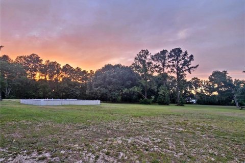 Land in Melrose, Florida № 1747647 - photo 1