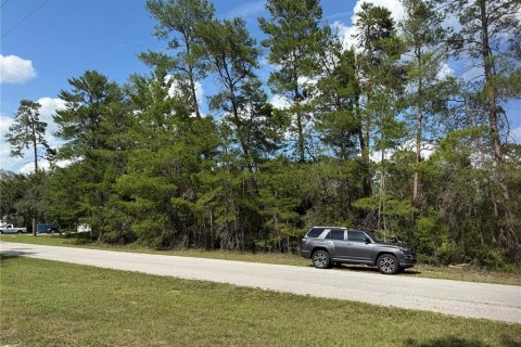 Terreno en venta en Eustis, Florida № 1720533 - foto 6