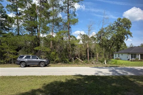 Terreno en venta en Eustis, Florida № 1720533 - foto 8