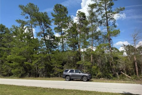 Terreno en venta en Eustis, Florida № 1720533 - foto 12