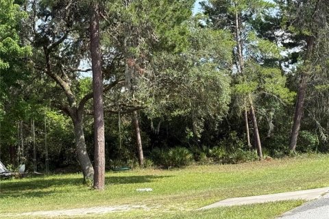 Terreno en venta en Eustis, Florida № 1720533 - foto 5