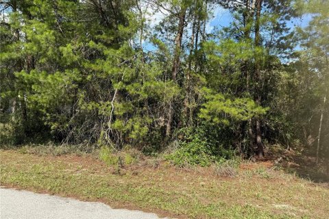 Terreno en venta en Eustis, Florida № 1720533 - foto 9