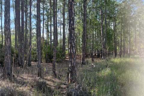 Land in Eustis, Florida № 1720533 - photo 11