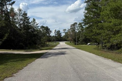 Terreno en venta en Eustis, Florida № 1720533 - foto 18