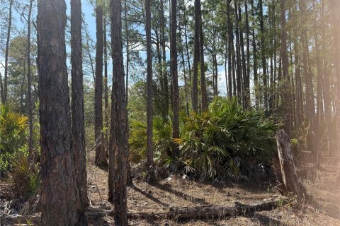 Terreno en venta en Eustis, Florida № 1720533 - foto 13
