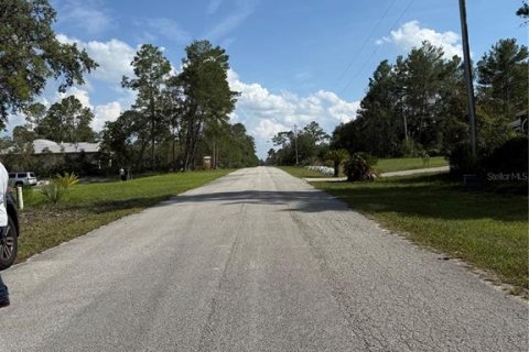 Land in Eustis, Florida № 1720533 - photo 17