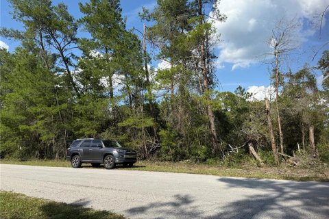 Terreno en venta en Eustis, Florida № 1720533 - foto 14