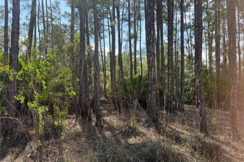 Terreno en venta en Eustis, Florida № 1720533 - foto 10