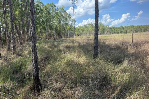 Terreno en venta en Eustis, Florida № 1720533 - foto 15