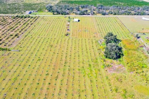 Land in Arcadia, Florida № 838450 - photo 2