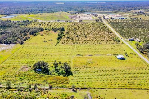 Land in Arcadia, Florida № 838450 - photo 15