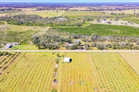 Land in Arcadia, Florida № 838450 - photo 11