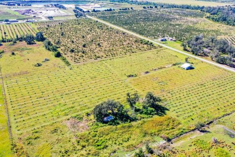 Land in Arcadia, Florida № 838450 - photo 16