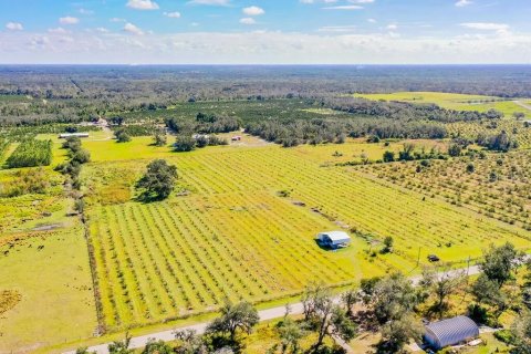 Land in Arcadia, Florida № 838450 - photo 13