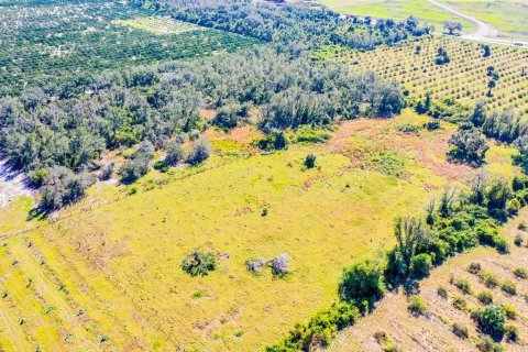 Land in Arcadia, Florida № 838450 - photo 9