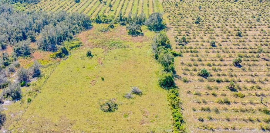 Land in Arcadia, Florida № 838450