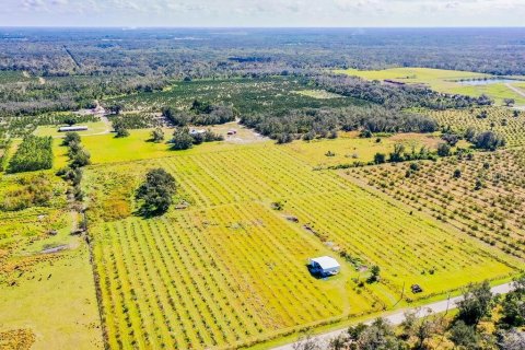 Land in Arcadia, Florida № 838450 - photo 14
